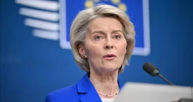 BE zbulon paketën e investimeve prej 232 milionë dollarë për Groenlandën