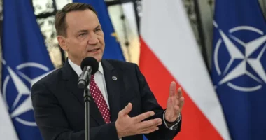 Kryediplomati polak: Rusia nuk ka forca për sulm të madh ndaj NATO-s