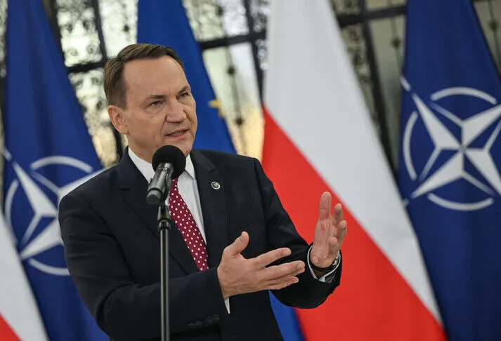Kryediplomati polak: Rusia nuk ka forca për sulm të madh ndaj NATO-s