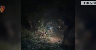 Humbën rrugën në malin e Dajtit, Policia e Tiranës u vjen në ndihmë dy turistëve gjermanë