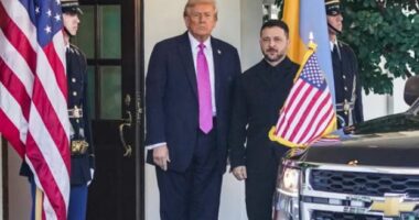 Trump pritet t’i kërkojë Zelenskyt armëpushim në sektorin energjetik