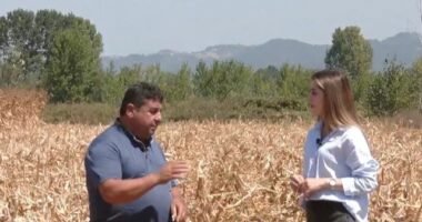 45-vite në bujqësi, që 16-vjeç mbi traktor/ Historia e Flamur Ballës që e trashëgoi bujqësinë te vajza