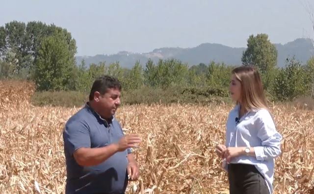 45-vite në bujqësi, që 16-vjeç mbi traktor/ Historia e Flamur Ballës që e trashëgoi bujqësinë te vajza