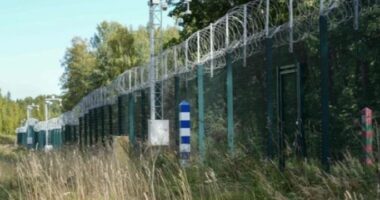 Finlanda blindon kufirin me Rusinë, vendos gardhin 200 km të gjatë për të ndalur emigrantët