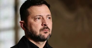 Zelensky i kërkon BE-së të mos heqë nga sanksionet Usmanovin dhe Fridmanin
