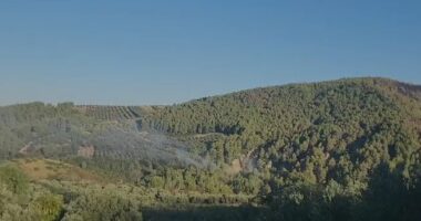 Shuhen zjarret në Fier/ Aktive vetëm një vatër në Frakull, 30 forca të FA në terren