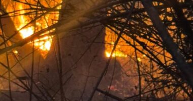 Zjarr në fshatin Picar të Gjirokastrës, flakët në afërsi të zonës së banuar