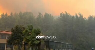 Zjarr i përmasave të mëdha në Radostinë të Fierit/ Flakët përfshijnë ullishtet, rrezikohen biznese