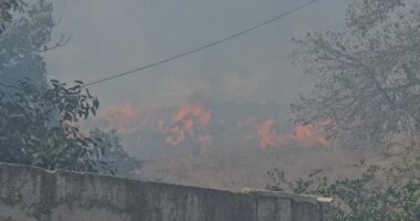 Përkeqësohet situata në Shushicë të Vlorës/ Era favorizon flakët, shefi i zjarrfikëses: Rrezikohen banesa