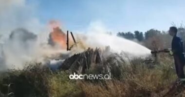 Zjarr në Delisuf të Novoselës, digjet sipërfaqja me pemëtari