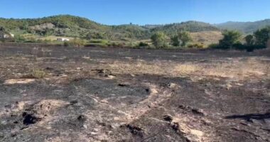 Shuhet zjarri në Gjirin e Lalëzit/ U rrezikua kompleksi turistik dhe u evakuuan pushuesit