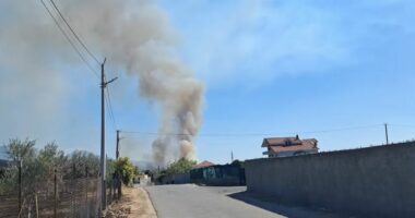 Zjarr pranë fshatit Halil në Fushë-Krujë, flakët përfshijnë masivin pyjor