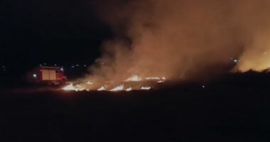 Zjarri në Borizanë, digjet sipërfaqja me pemtari