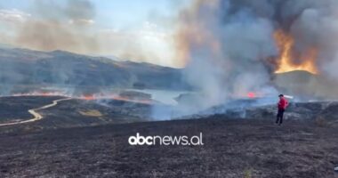 VIDEO/ Zjarr në Nikël, digjen dhjetëra rrënjë ullinj