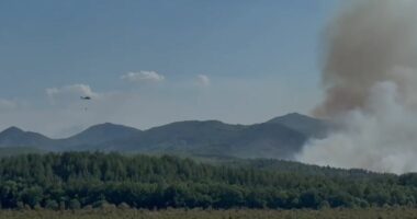 Zjarri përfshin fshatin Kalivaç në Lezhë, rrezikohen banesat