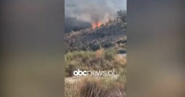 Vlorë/ Zjarri përfshin Kropishtin, kërkohet ndërhyrje nga ajri (VIDEO)
