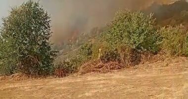 Zjarr në fshatin Halilaj të Fushë Krujës, dyshohet i qëllimshëm