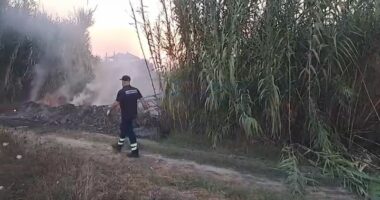 Zjarr në Topojë të Fierit, digjen pemë dhe shkurre