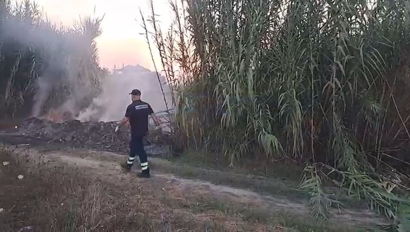 Zjarr në Topojë të Fierit  digjen pemë dhe shkurre