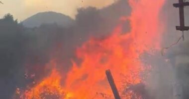 Zjarr i madh në Gjirokastër, rrezikohen banesat dhe një fabrikë uji