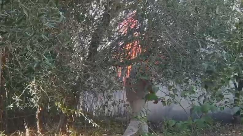 Zjarr në Babicë të Vlorës, digjen dhjetëra rrënjë ullinjsh