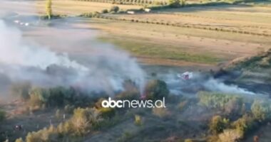 Zjarr në Ndërnenas, rrezikohen sera dhe stalla