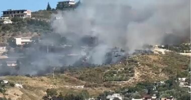 Zjarr në Vlorë/ Flakët djegin një sipërfaqe me bimësi, rrezikohen banesat