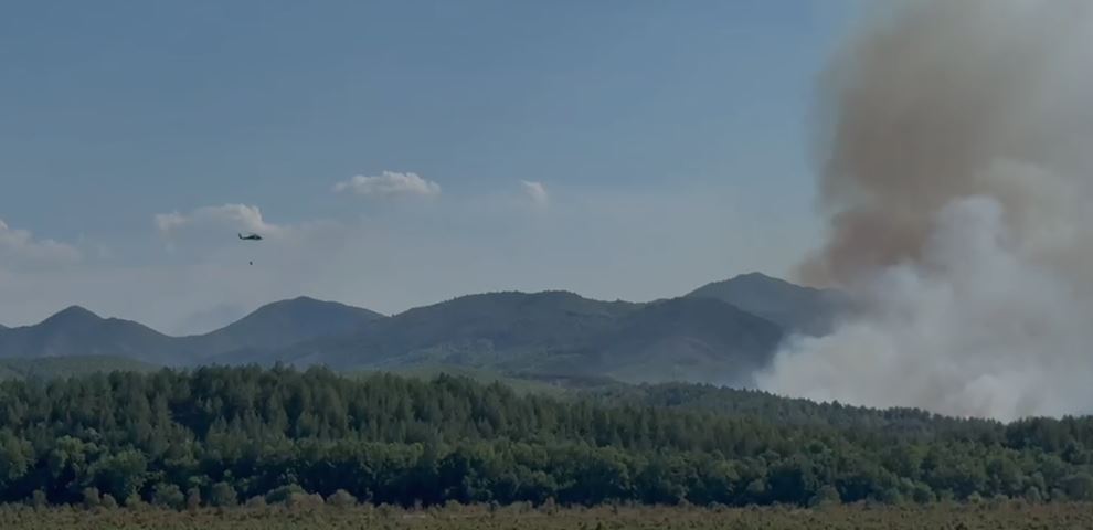 Zjarri përfshin fshatin Kalivaç në Lezhë, rrezikohen banesat