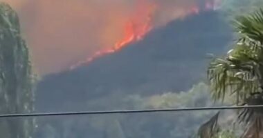 Përfshihen nga flakët kodrat në Shkodër, ndërhyrje edhe nga ajri