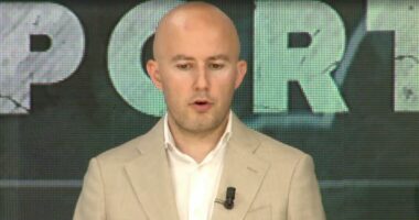 Ish-shefi gjerman i inteligjencës akuzohet për spiunazh/ Krisafi: Pas saj, mund të qëndrojë Rusia!