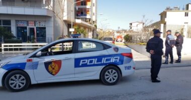 E rëndë në Kamëz/ Vriten me armë dy vëllezër, një tjetër mbetet i plagosur. Kapet autori