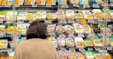 Sulm kibernetik në supermarketet franceze/ Piratët kompjuterikë ngrenë temperaturat e frigoriferëve, duke prishur produktet