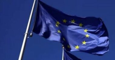BE: Protesta të ulë tensionet/ Delegacioni i Komisionit Evropian dënon përshkallëzimin e dhunshëm në tubim