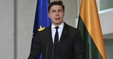 Lituania kërkon nga NATO rregulla të reja për rrëzimin e dronëve