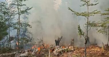 Vijon lufta me flakët në Gjinar, terreni i vështirë vështirëson ndërhyrjen