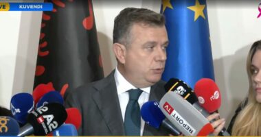 “Antifa ka ndikimin e vetë edhe në Shqipëri”, Balla për masat ligjore: Dhuna nga protestuesit është fashiste!