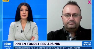 Buxheti për arsimin/ Eksperti i punësimit: Çdo mbështetje ndaj arsimit është për t’u përgëzuar!
