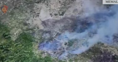 Arrestohet në flagrancë 76-vjeçari/ Memaliaj, dyshohet se i vuri flakën tokave në fshatin Vasjar