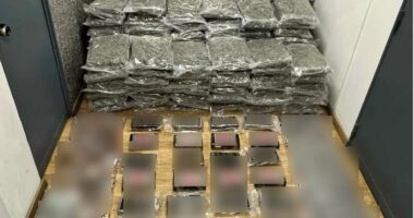Bllokohet sasi e madhe kokaine dhe kanabisi në Greqi, në pranga dy shqiptarë