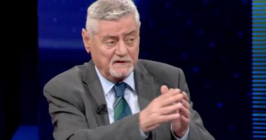 Territorialja/ Dashamir Shehu apel PS: Thirrini mendjes, dilni nga kjo skemë elektorale! Sa para dhe kompetenca do u jepni bashkive?