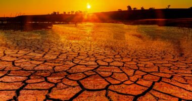Fenomeni El Niño arrin intensitet rekord, ekspertët paralajmërojnë muaj edhe më të nxehtë