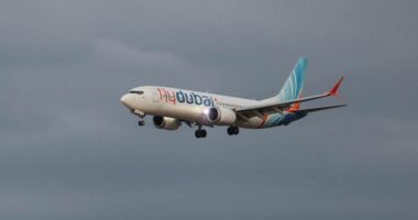 Piloti kamikaz, hakmarrje për Gazën/ Tentoi rrëzimin e avionit: Doja të vdisja si martir!
