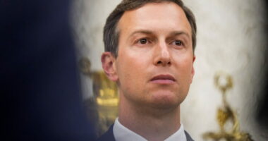 Kushner: E vërteta ime për Zvërnecin