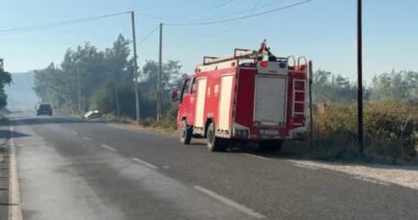 Zjarri në Manati të Lezhës, vijon ndërhyrja për shuarjen e flakëve