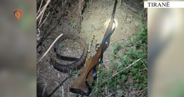 Të shtëna me armë zjarri në Tiranë, shoqërohen katër persona në Polici