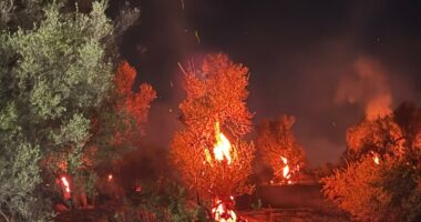 Vlorë/ Tre vatra zjarri në fshatin Bestrovë, digjet sipërfaqe e konsiderueshme me bimësi dhe shkurre