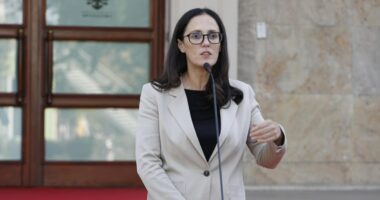Ibrahimaj: Brenda vjeshtës nis përdorimi i inteligjencës artificiale në prokurimet publike