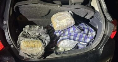 Kapen në Greqi 36 kg marijuanë/ Në pranga 3 shqiptarë, dyshohet se droga u nis nga Saranda