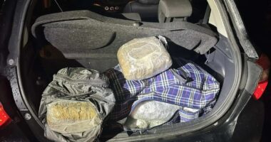 Kapen në Greqi 36 kg marijuanë/ Në pranga 3 shqiptarë, dyshohet se droga u nis nga Saranda