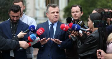“Përdorimi i të miturve për dhunë, e papranueshme”/ Balla: PD i ka paguar. Berisha, instruktori i goditjes së selisë së PS